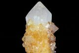 Sunshine Cactus Quartz Crystal - South Africa #80192-1